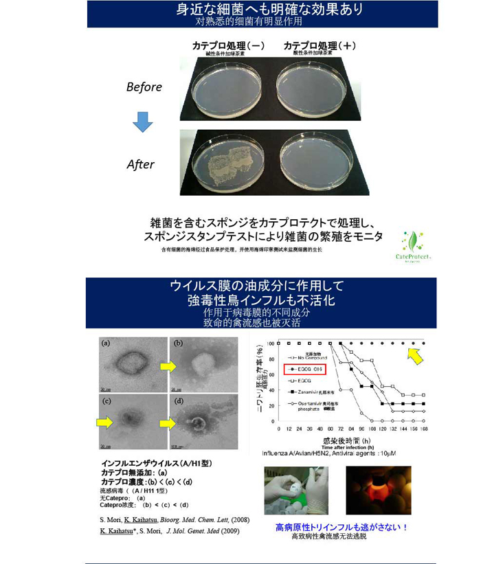 日本檢測報告_02.jpg