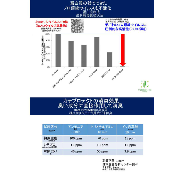 日本檢測報告_03.jpg