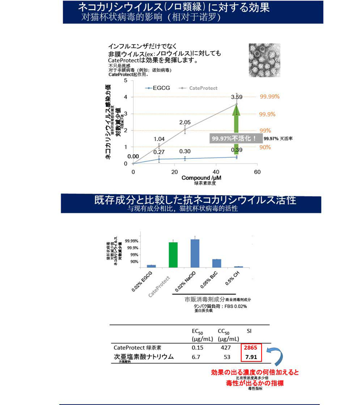 日本檢測報告_04.jpg